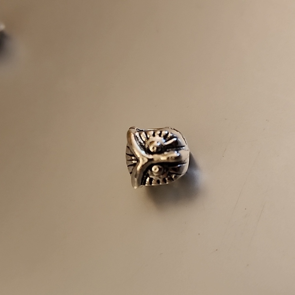 SMART  Owl  Bracelet Charm Compatable With Pandora
